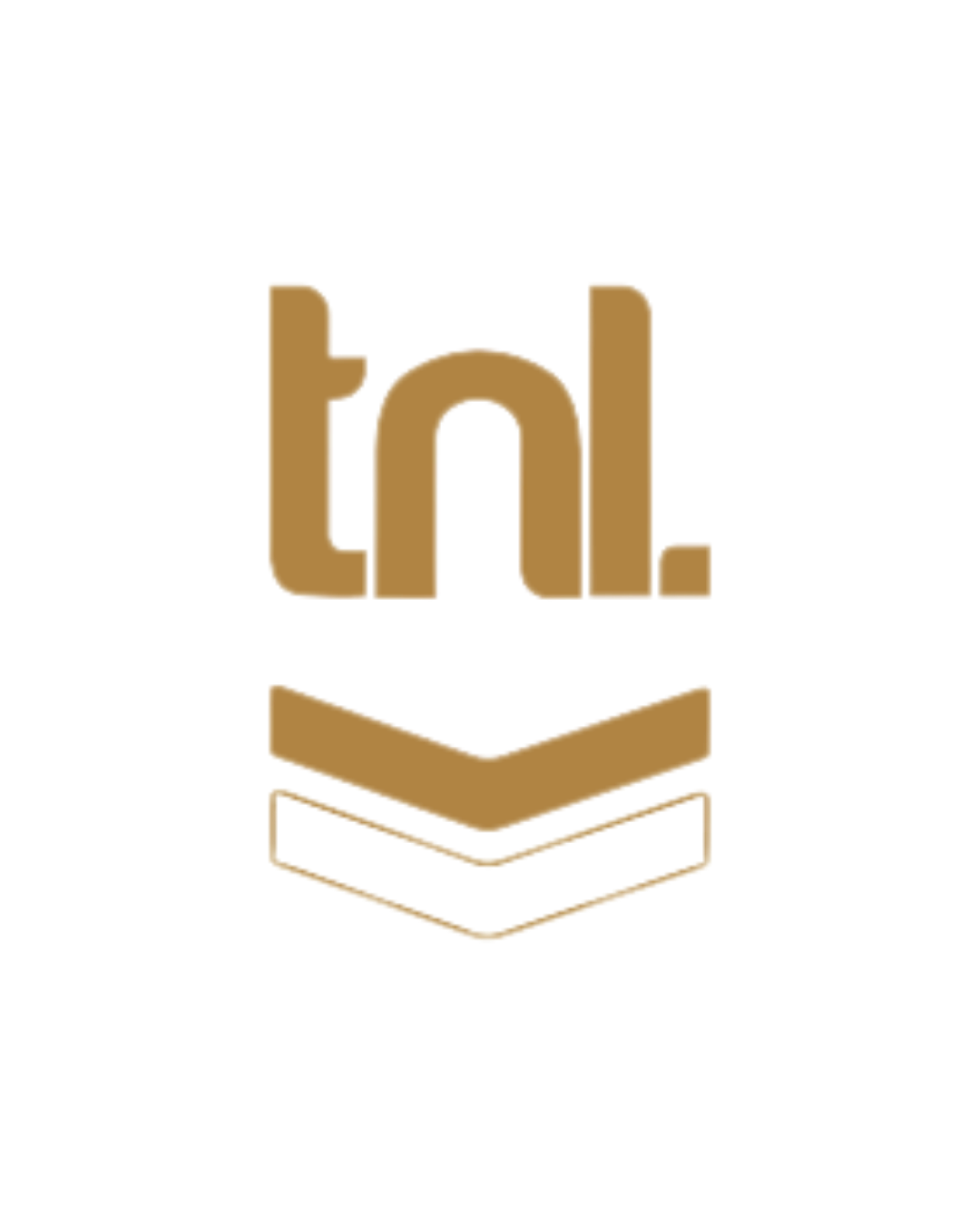 Escudo 4