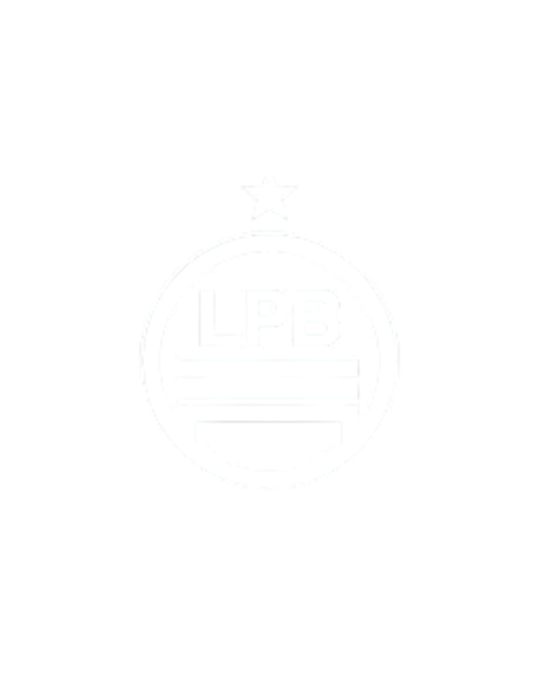Escudo 1
